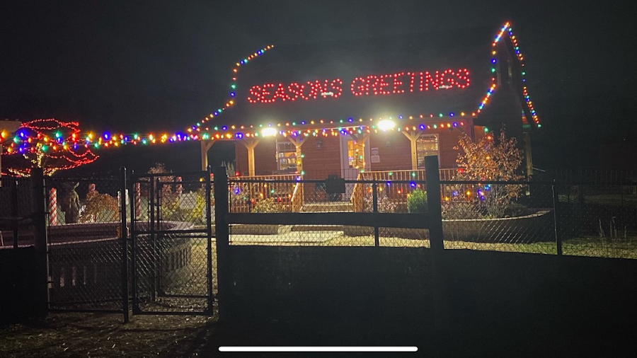 Majestic Meadows Alpacas & Boutique