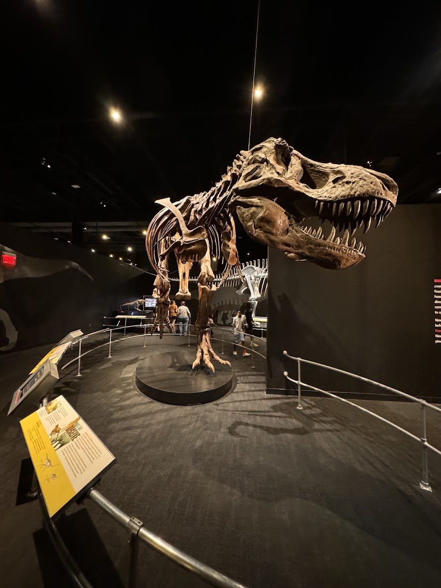 Center of Science and Industry (COSI)