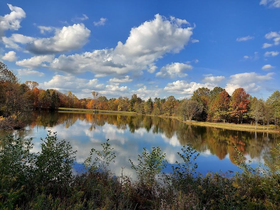 Blendon Woods Metro Park