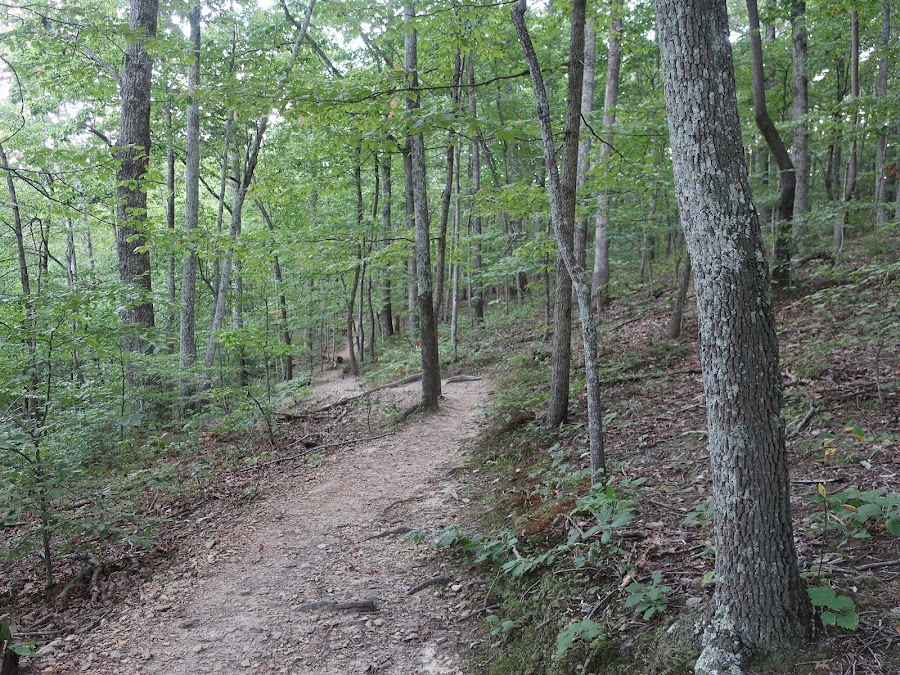 Beaman Park