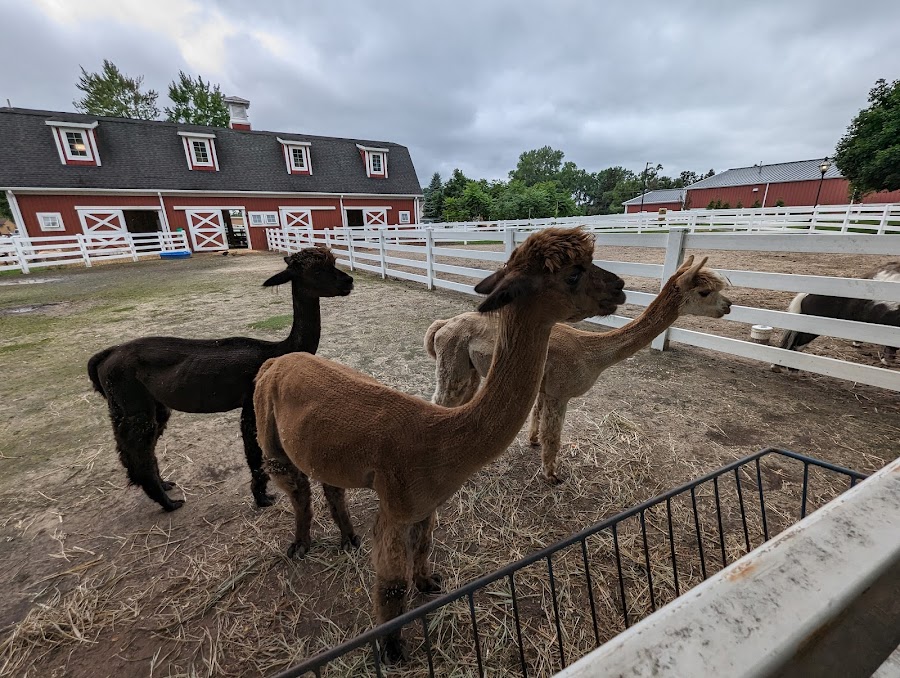 Heritage Park Petting Farm
