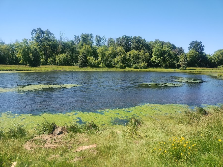 Mill Ridge Pond