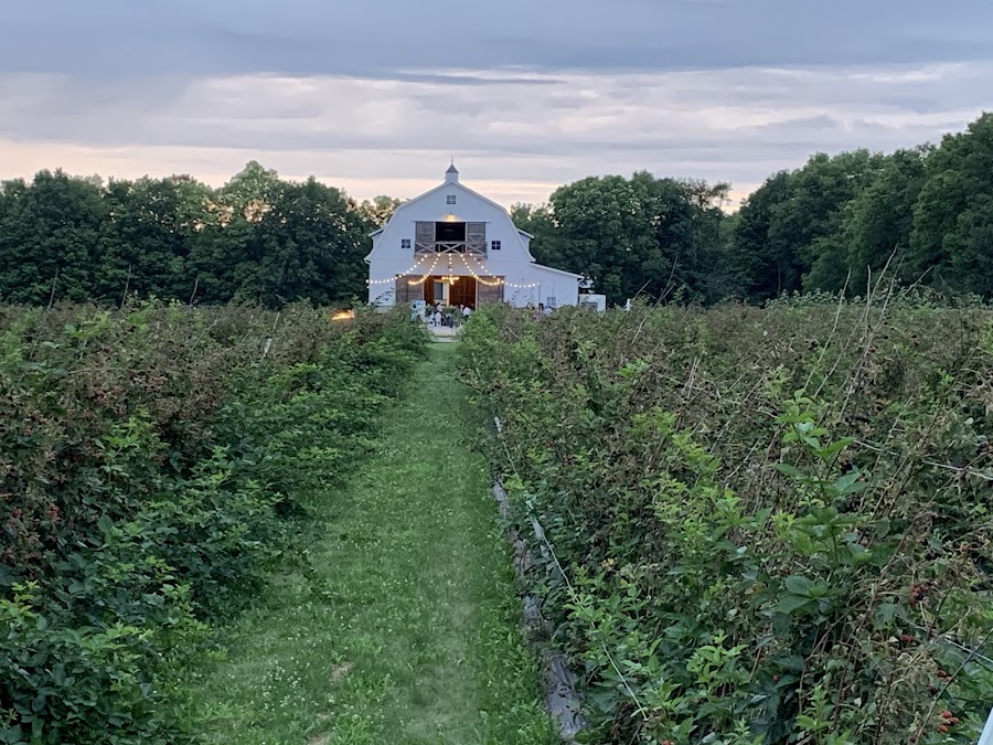 Wild Blackberry Farms