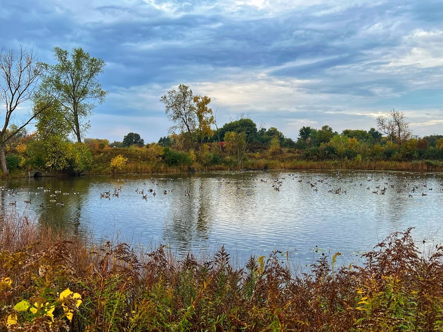 Emerald Preserve Park