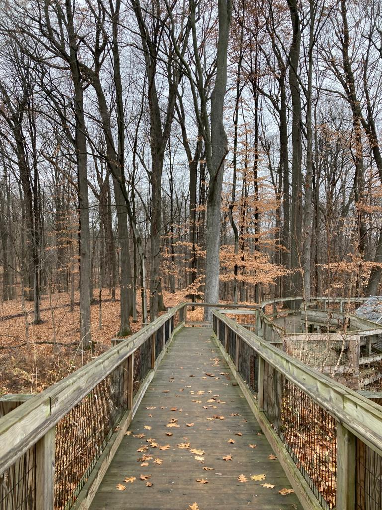 Blandford Nature Center