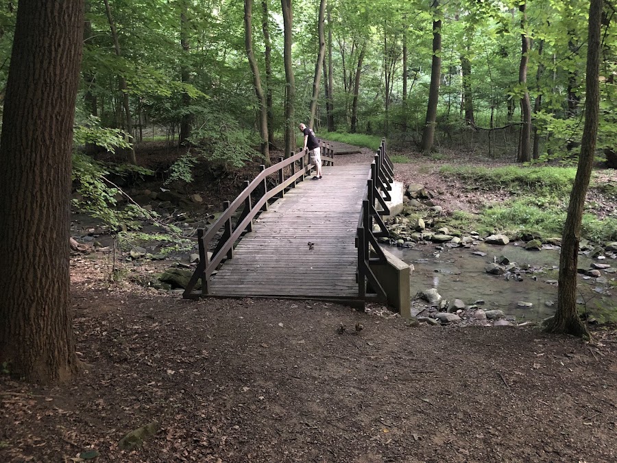 Garfield Park Reservation