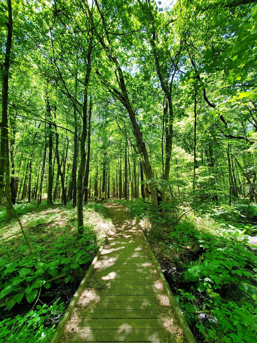 Oak Openings Preserve Metropark