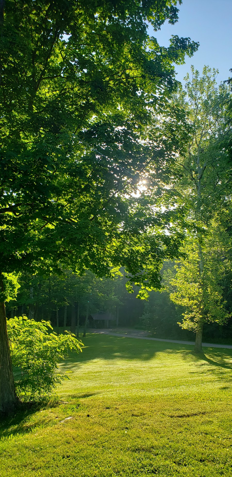 Maple Grove Picnic Area