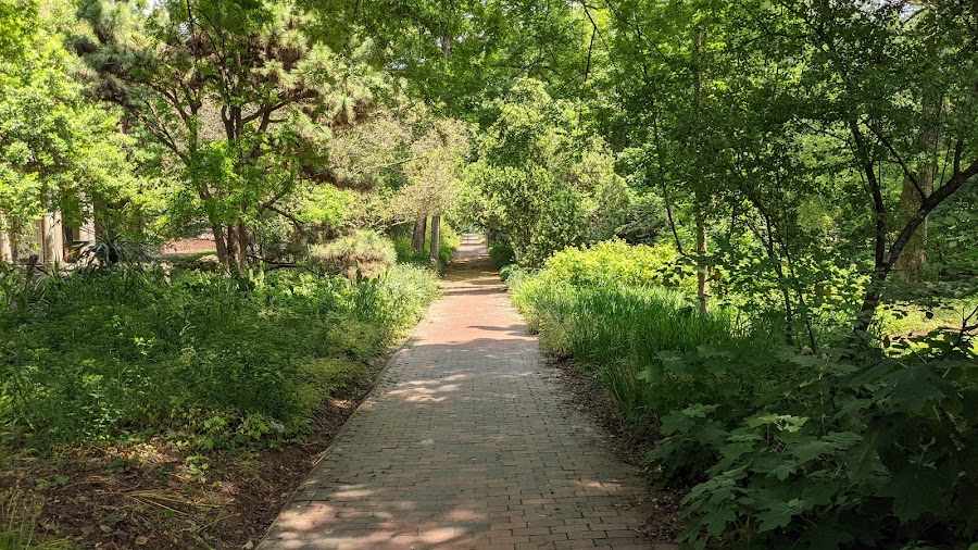 Coker Arboretum