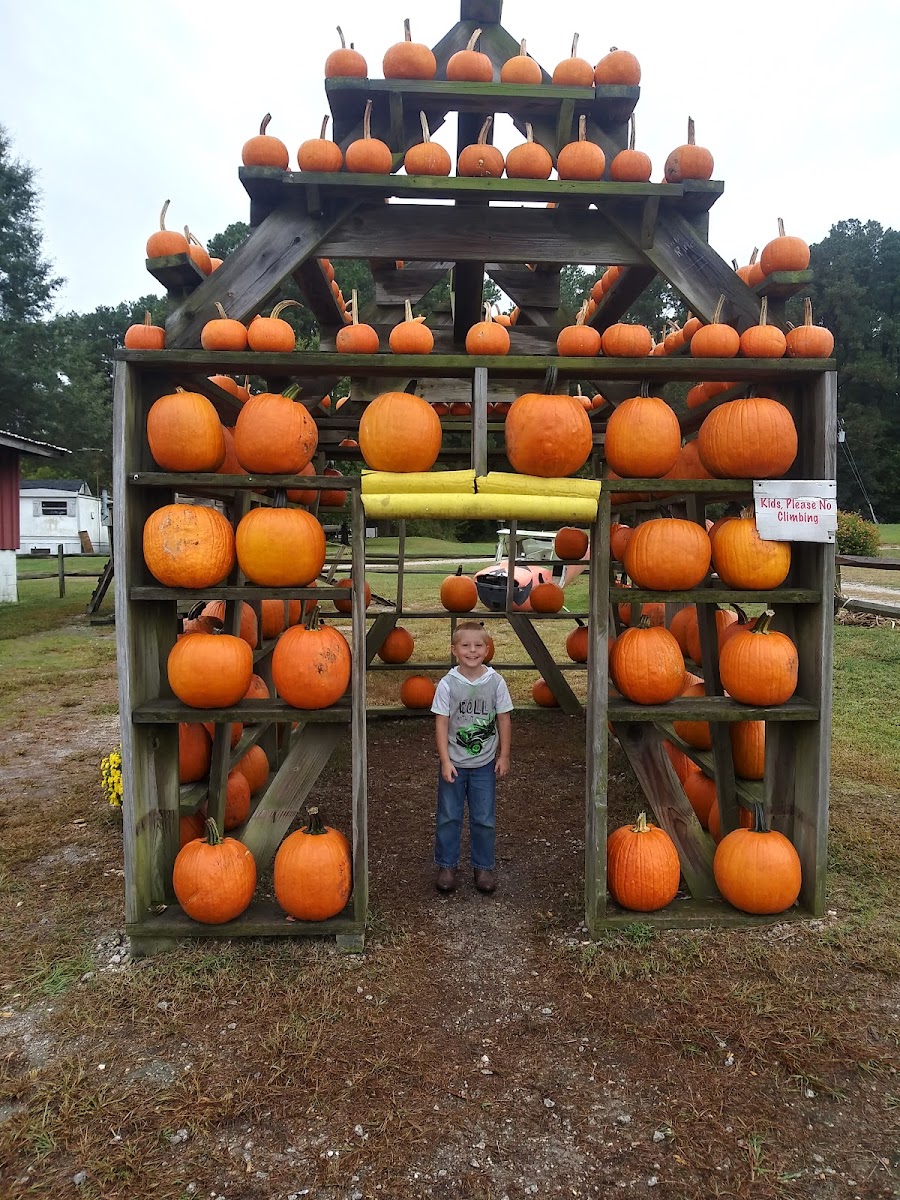Vollmer Farm - Farm Market & Cafe'