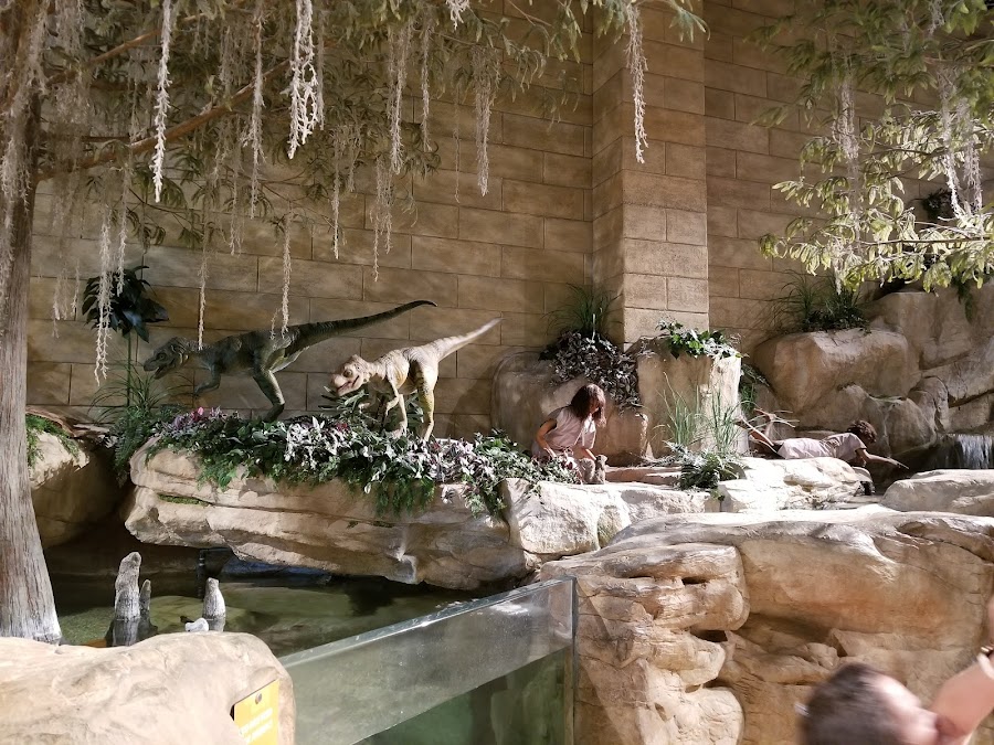Creation Zoo
