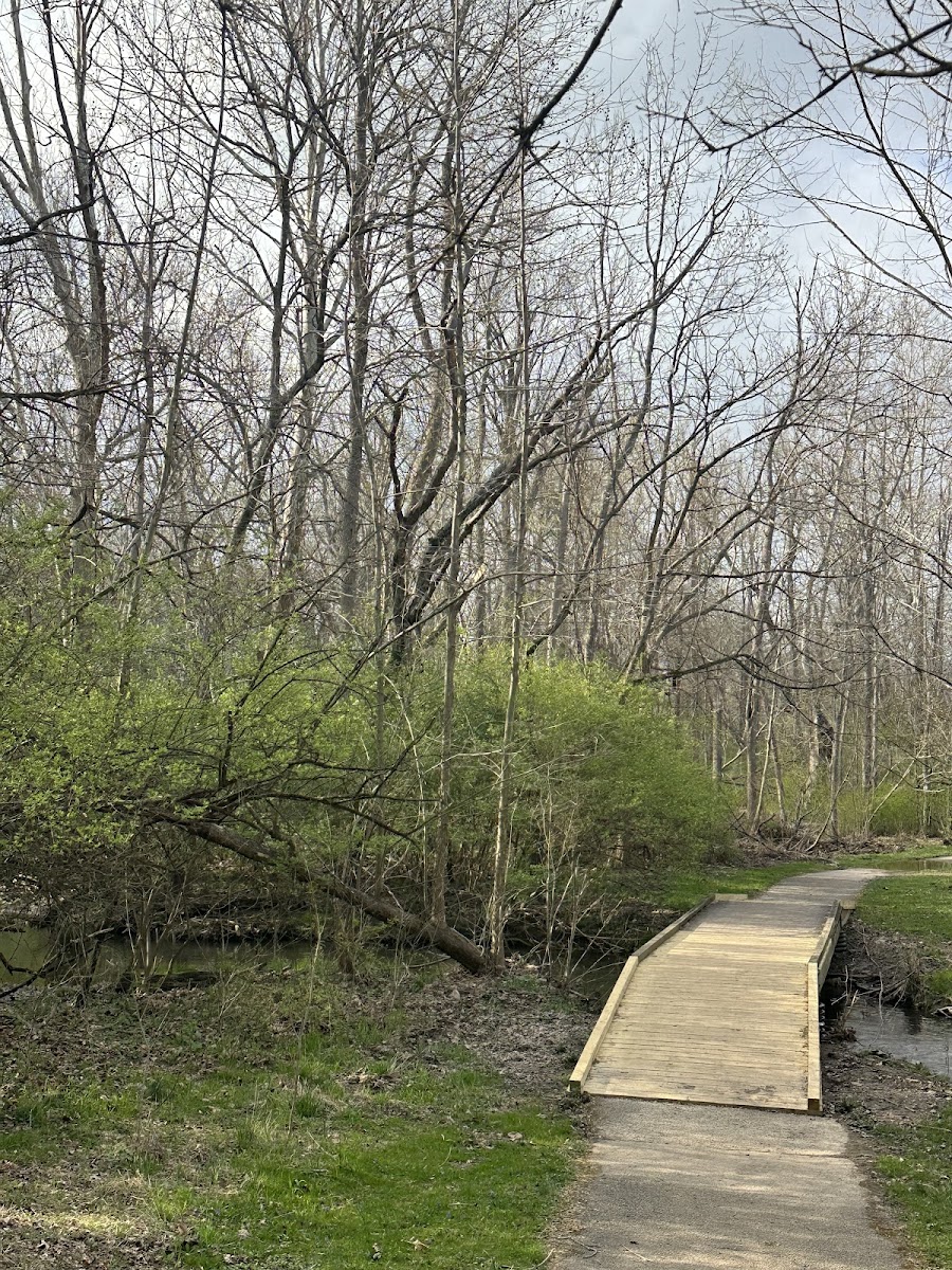 Anchorage Trail