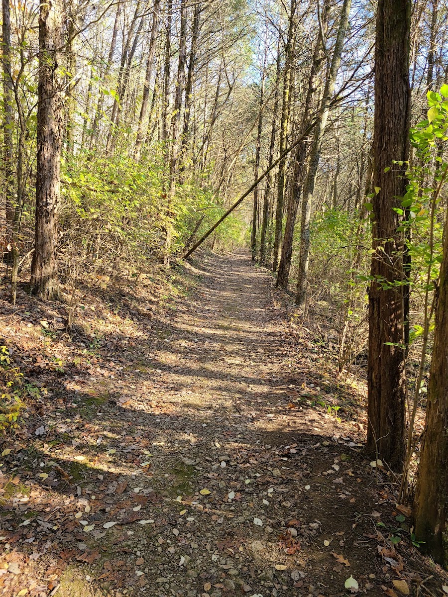 The Trails at Fontanel