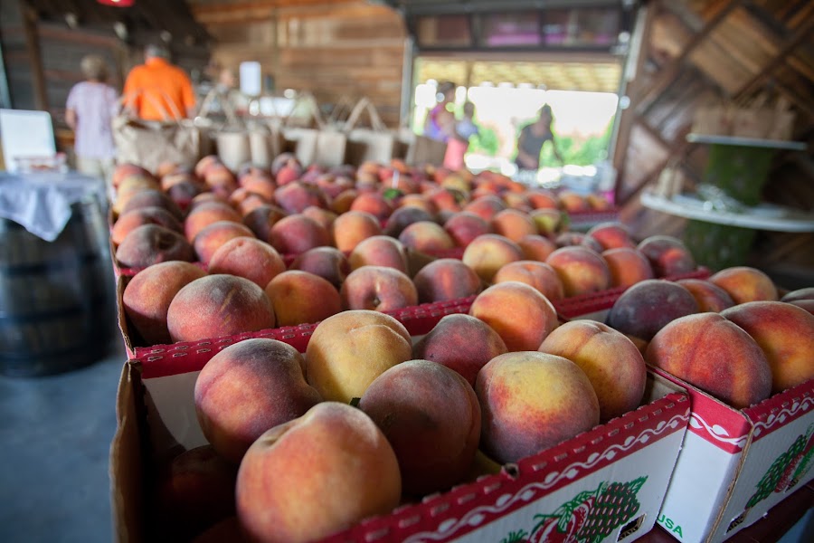 Breeden's Orchard