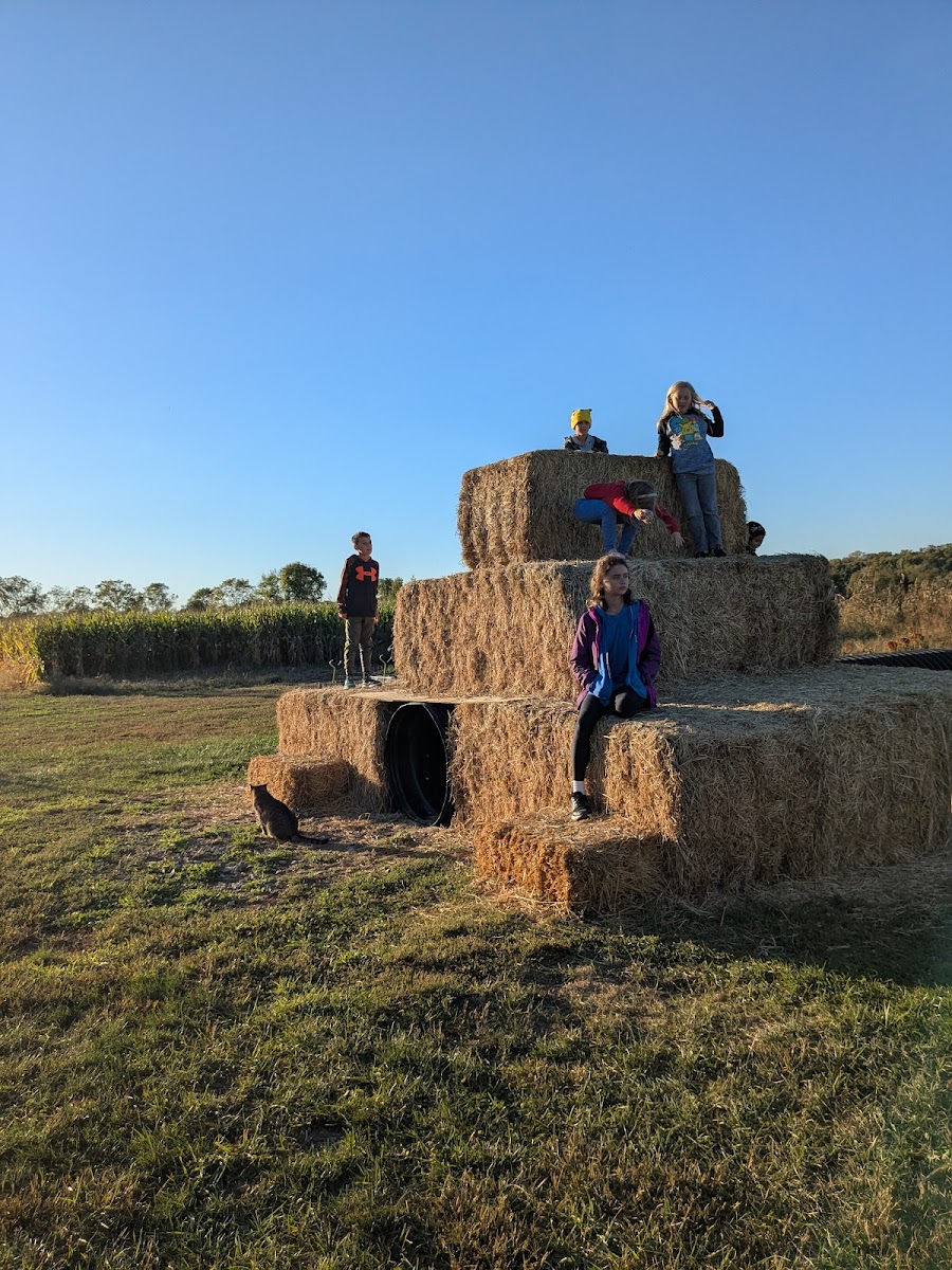 Coleman's Farm - Saline