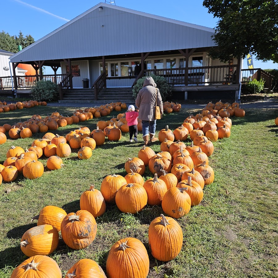 Swan's Pumpkin Farm