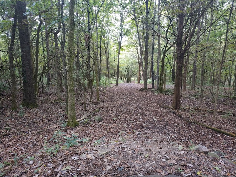 Liberty Park Disc Golf Course