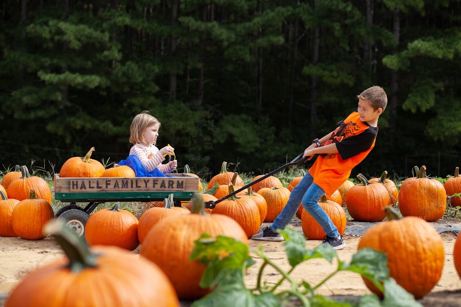 Hall Family Farm
