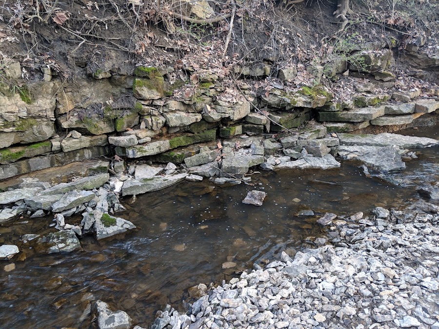 Amity Woods Nature Park