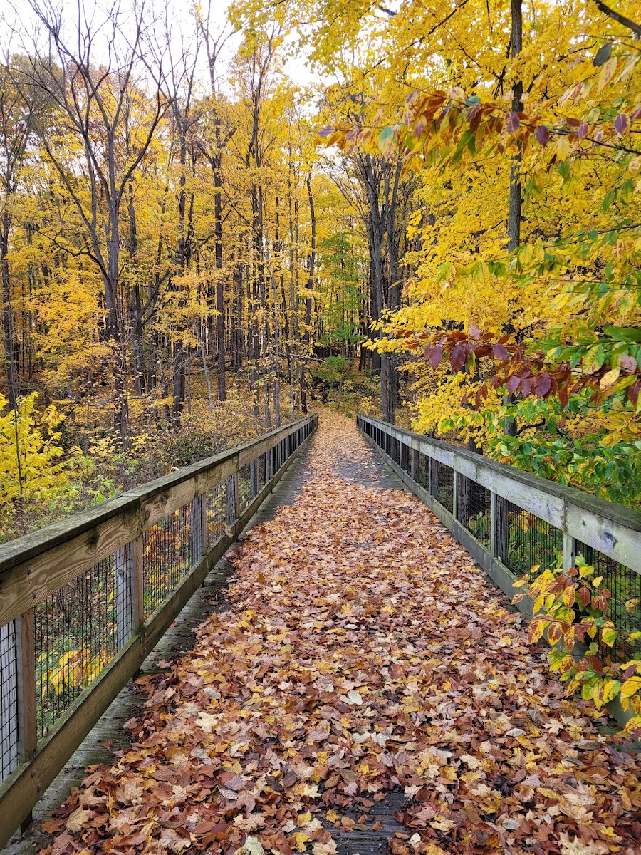 Lepard Nature Preserve