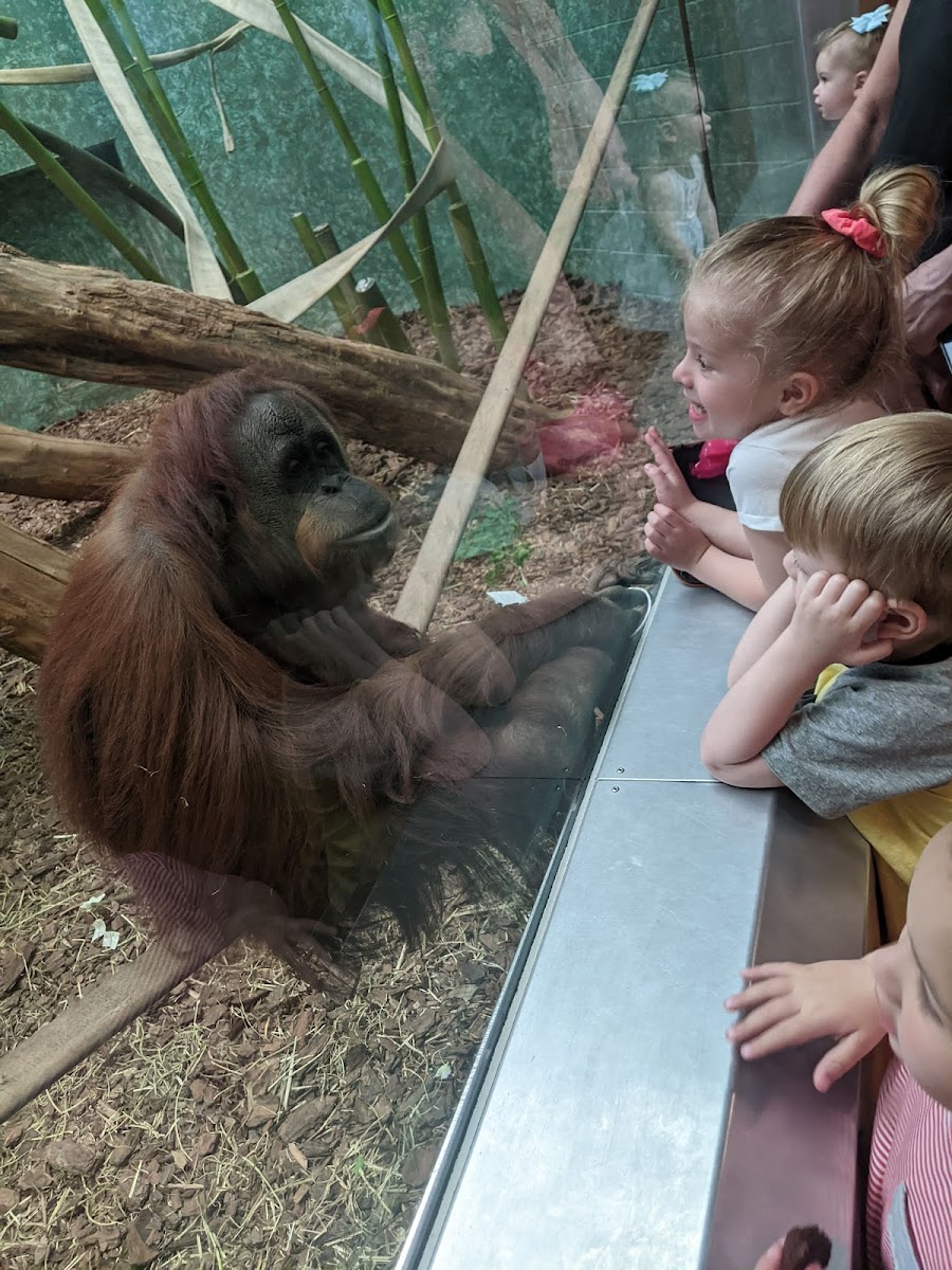Louisville Zoo