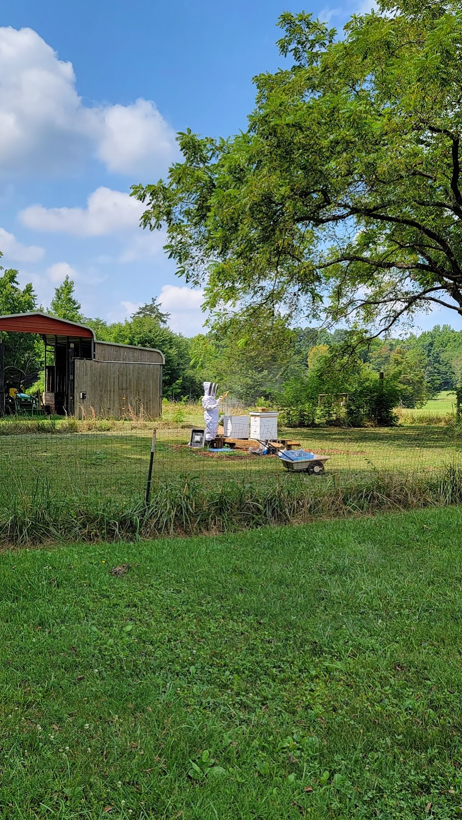 Bright Haven Farm