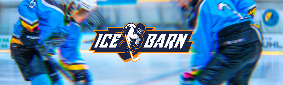 Ice Barn Indy