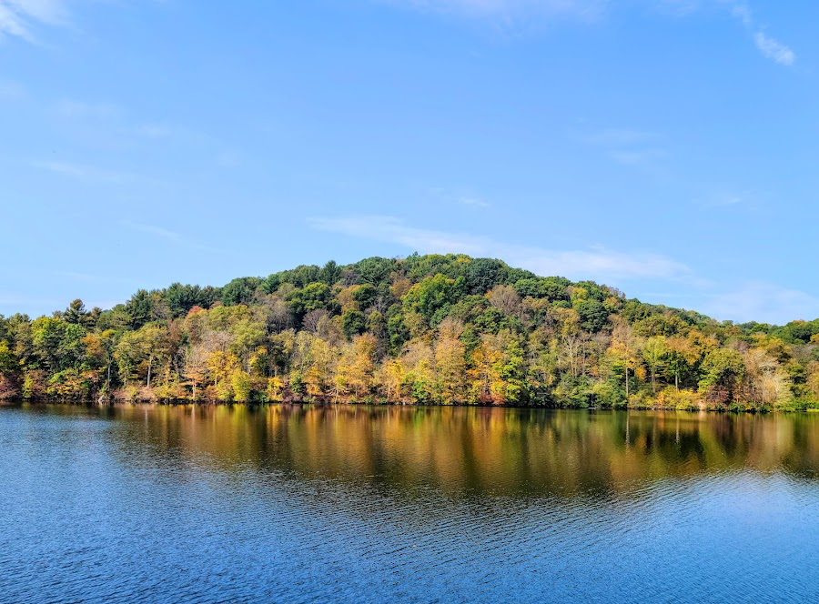 Raccoon Lake