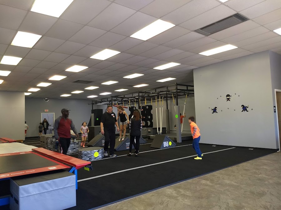 The Flying Ninja Academy