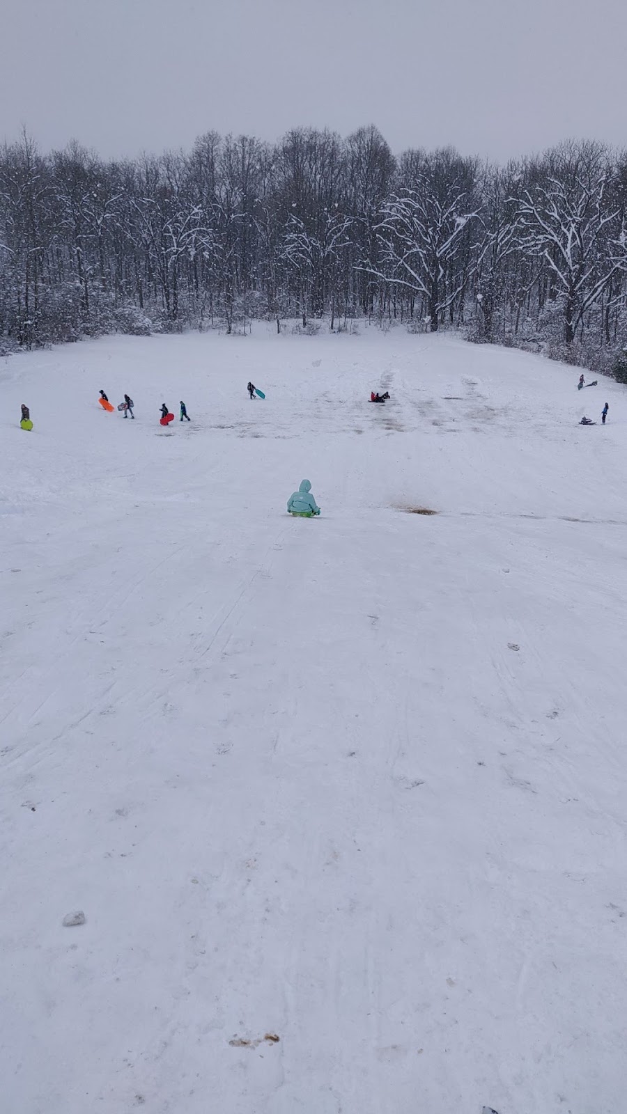 Coasting (sledding) Hill