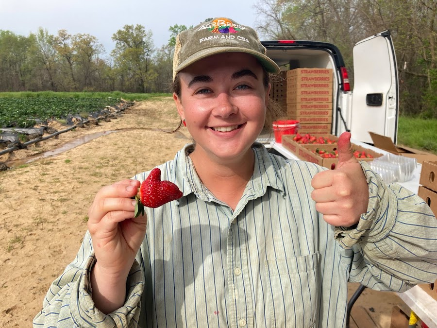 Agriberry Farm and CSA