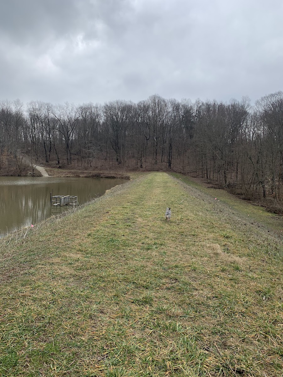 Greenfield Dam Wildlife Area