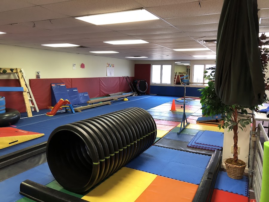 The Jungle Gymnastics Adventure Center