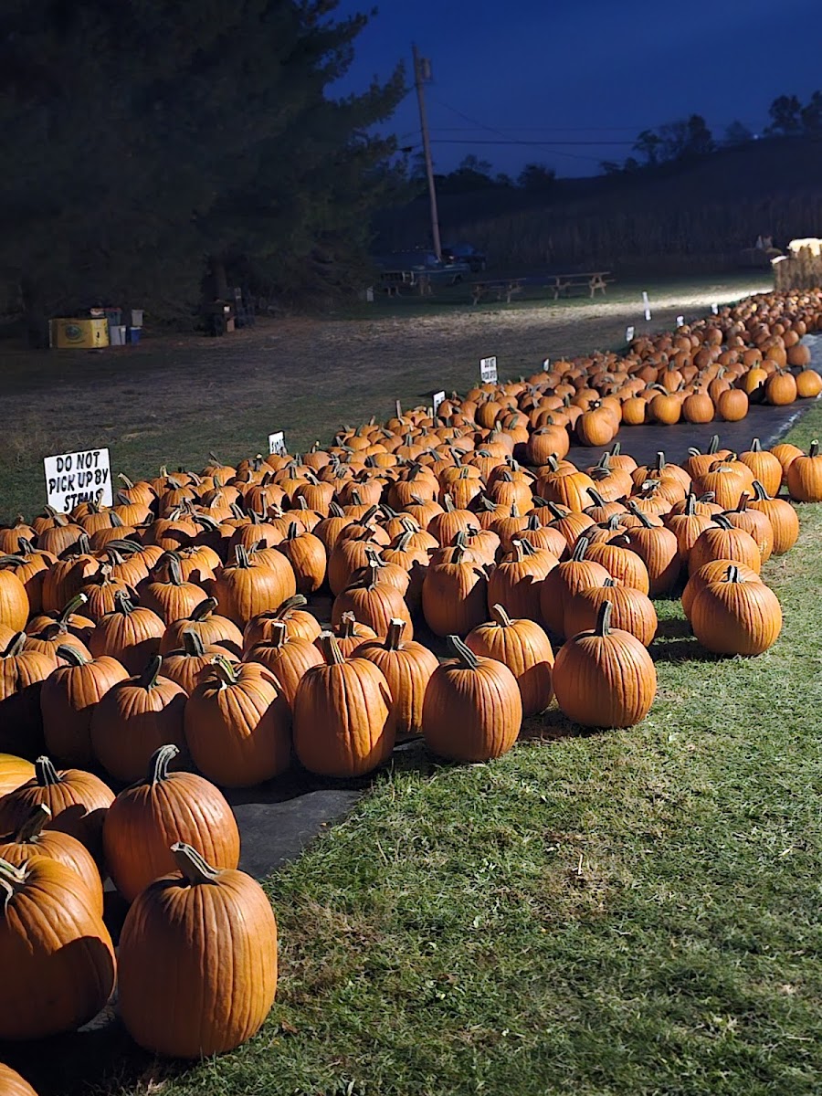 Yeck’s Pumpkins and Hayrides