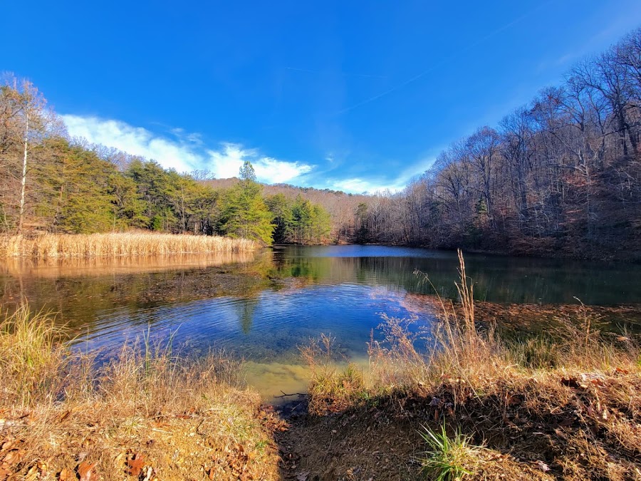 Jefferson Memorial Forest