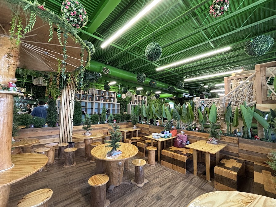 Magic Forest Kids Cafe & Playground