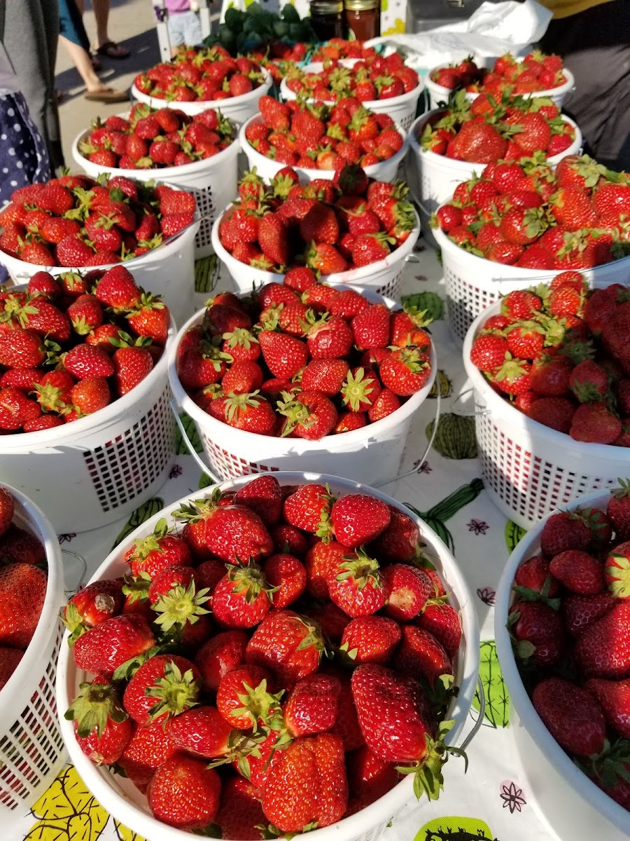 Cotswold Farmers Market