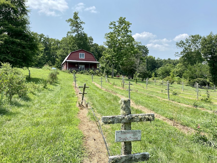 Wagner Berry Farm