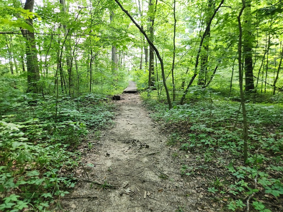 Jacob Schramm Nature Preserve