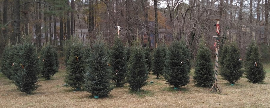 Penny Road Christmas Trees & Produce