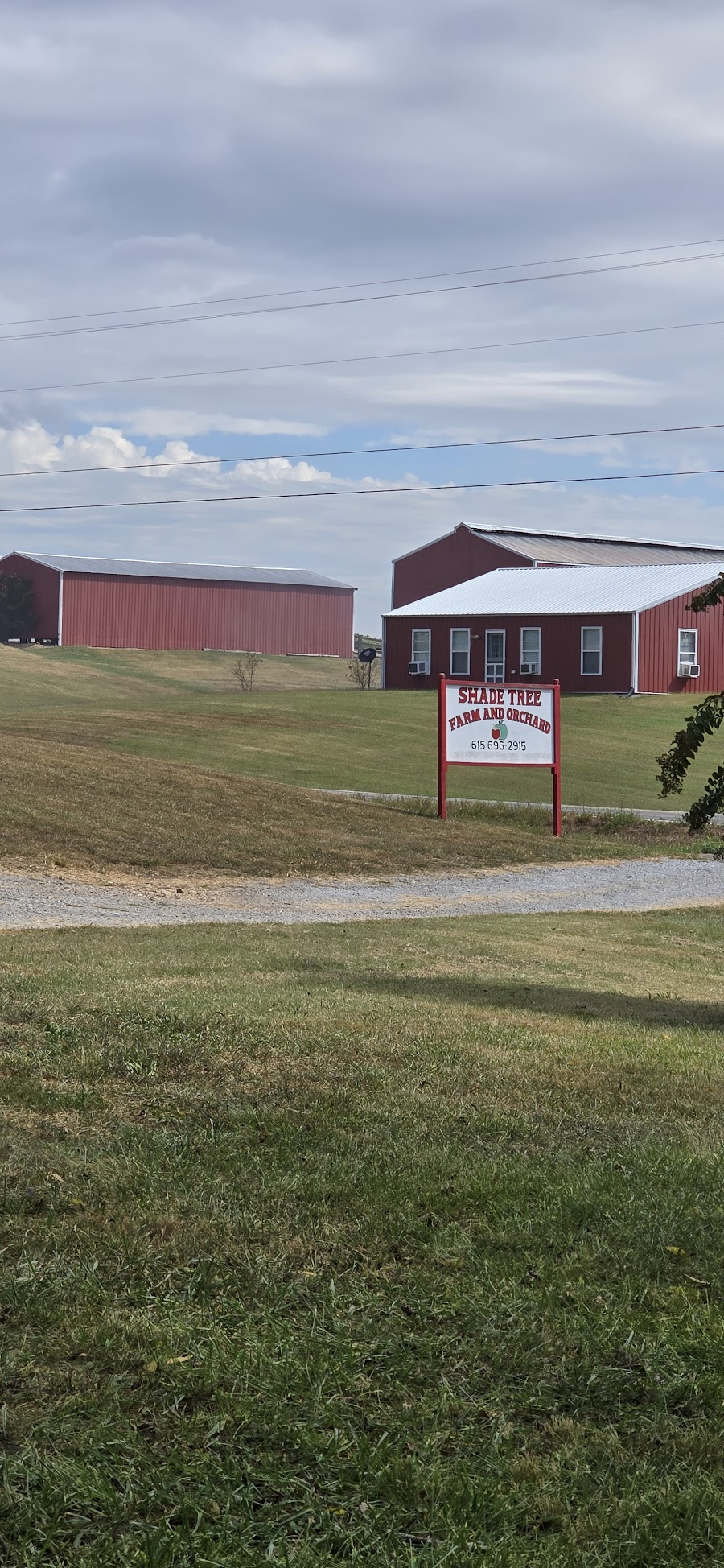 Shade Tree Farm and Orchard