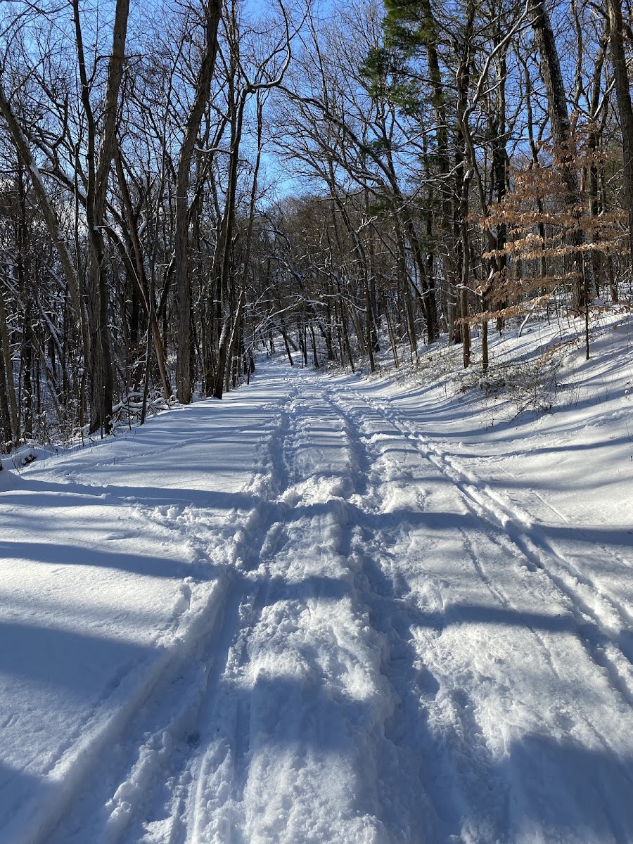 Johnson Park