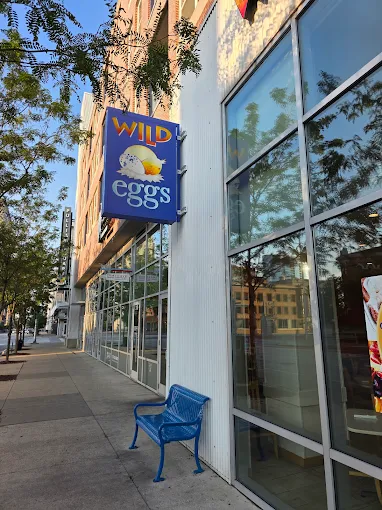 Wild Eggs