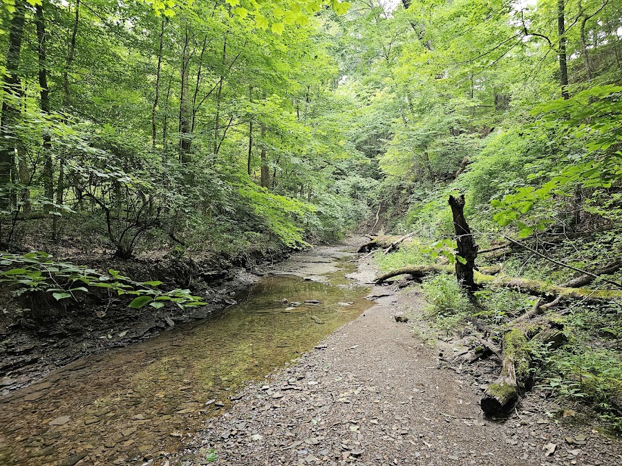 Spring Valley Nature Preserve