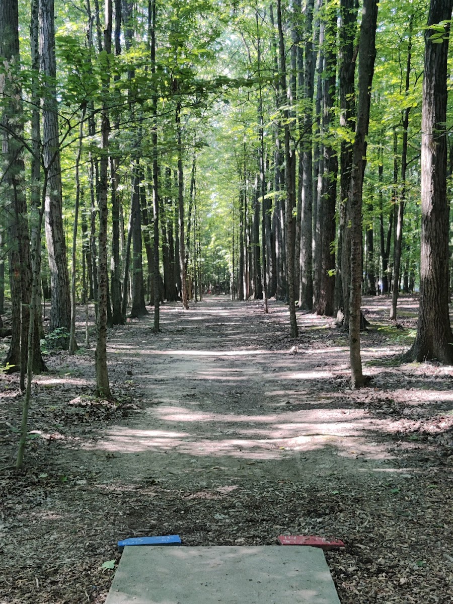 Findley State Park Disc Golf Course