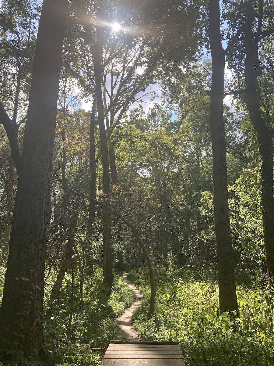 Town Run Trail Park