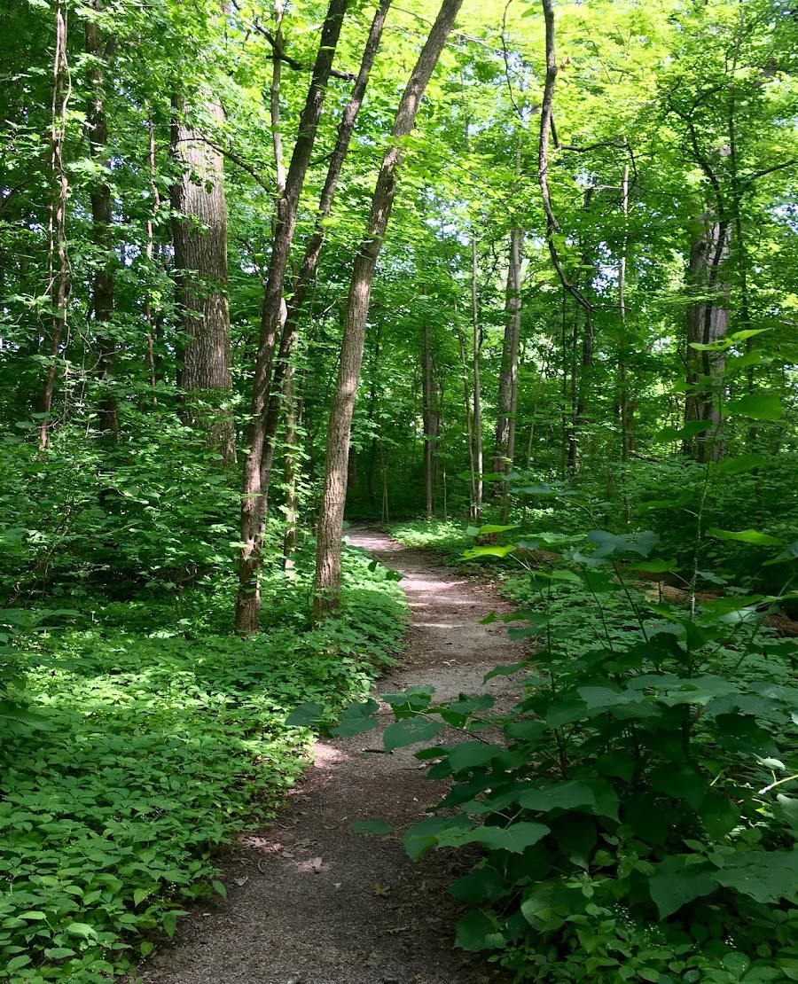 Cheeney Creek Natural Area