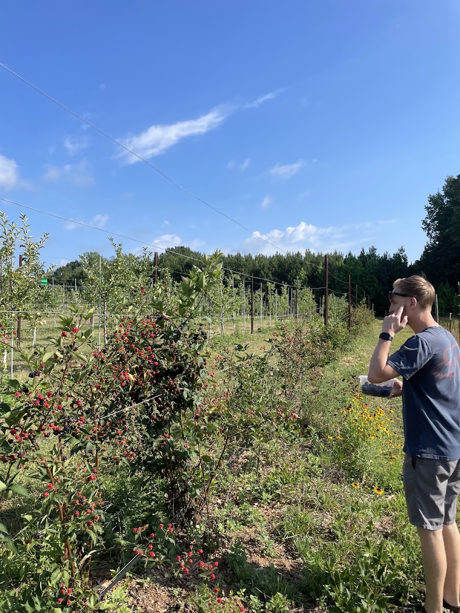 The Orchard on Little River