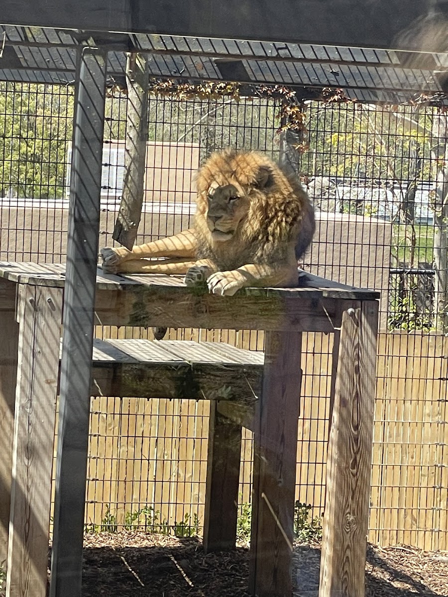 Washington Park Zoo, Michigan City Zoo