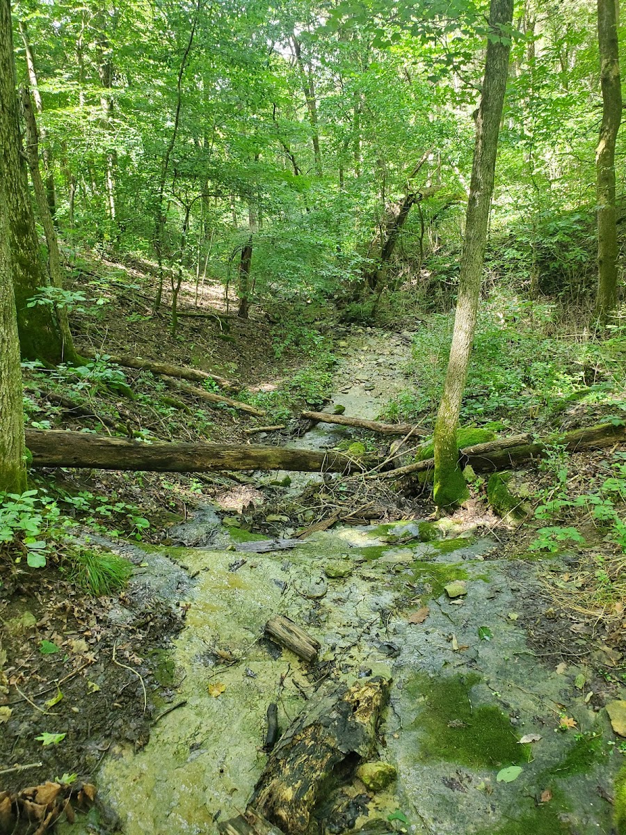 Limestone Gorge Trailhead